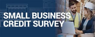 small business survey flyer